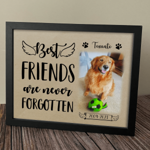 Best Friends Are Never Forgotten Dog Picture Frame